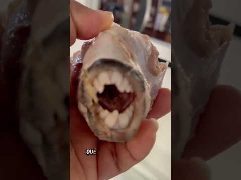 Tremendo susto #paratiiiiiiiiiiiiiiiiiiiiiiiiiiiiiii