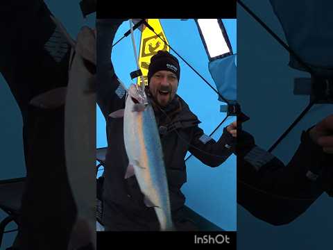 Oho! Nyt on tilanne päällä! 🤠🎣 Käy kahtomassa pitkä video! 🤗