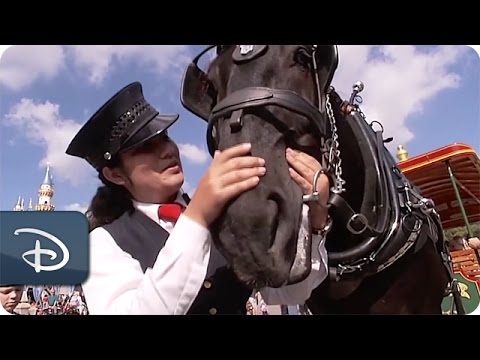 Every Role a Starring Role - Circle D Corral | Disneyland Resort - UC1xwwLwm6WSMbUn_Tp597hQ