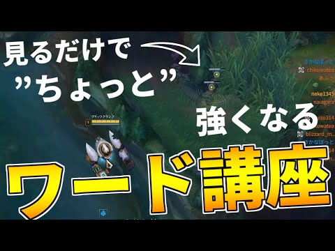 【lol講座】見るだけで友達と差をつけられるワード講座【Season11最新版】