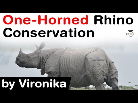 One Horned Rhino Conservation efforts in India explained - Facts about