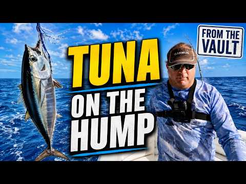 How to catch blackfin tuna on the marathon hump & proven tactics that still work video thumbnail