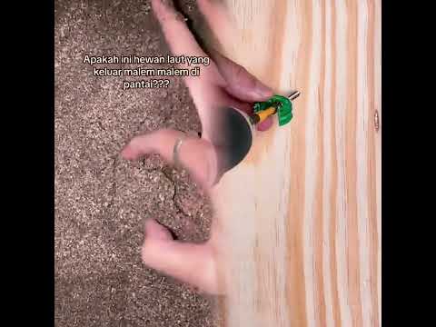 #pov #benanglayangan #foryou #funny #layangantanggalan