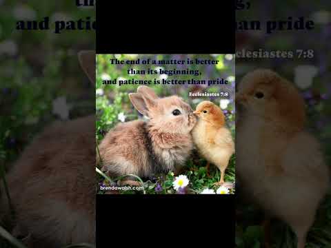 #worshipmusic #christianmusic #gospelmusic #🐰 #love #christiansongs #dailybibleverse #cute #bunny