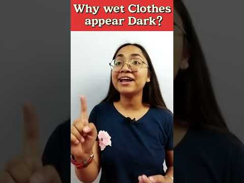 Why wet clothes appear Darker?