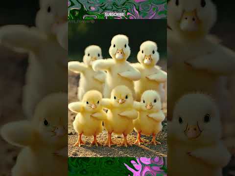 Chick dance 🥰#dance #babydance #baby #babygirl #dancevideo #dancing #cute #arts_forever