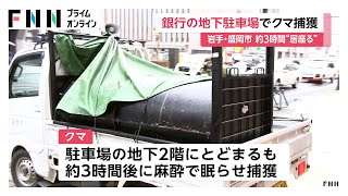 動画サムネイル