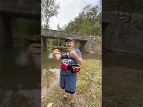 How To Catch MONSTER SMALLMOUTH!! @DeepDarkhills  #jesus #fishing #creek #kentucky #outdoors