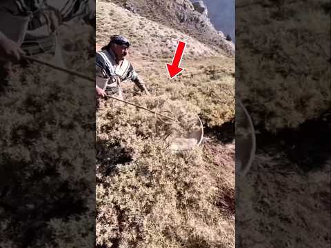 Emas Putih dari Pegunungan Zagros #shorts