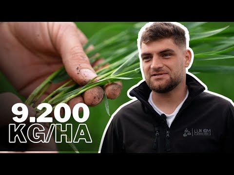 Agronomul care țintește 9,2 t/ha la grâu și mizează pe cultură dublă cu soia