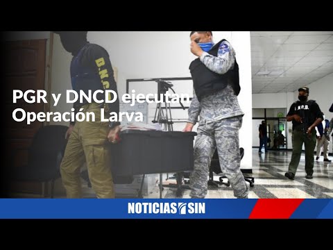 Al menos 9 son interrogados por Operación Larva