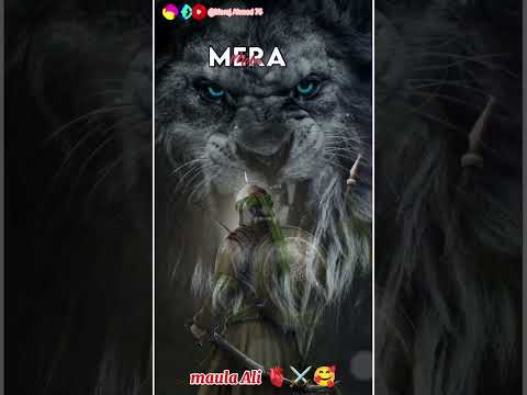 maula Ali ⚔️🫀#islamic #islamicvideo #shorts #video#like #subscribe#shere