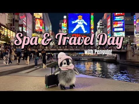 Spa & Travel with Penguin! ✈️ #babyanimals #adorable #penguin #pet #pets #cute