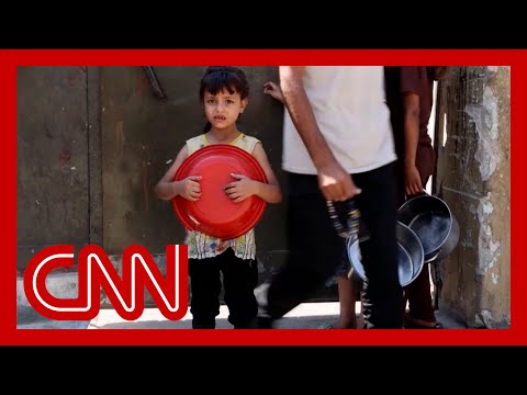 ‘There is simply not enough food’: Gaza aid group enrolling 25 new malnourished children daily