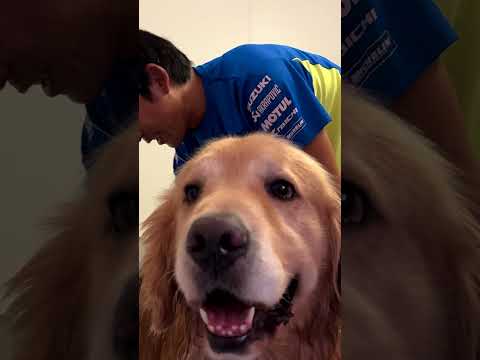 シャワータイム！