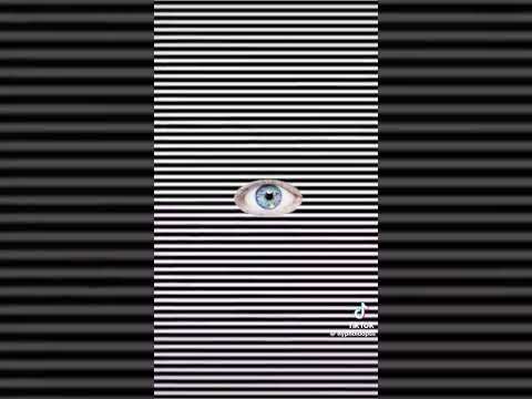 Tourbillon 🌀 noir et blanc