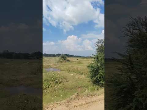 Nile Nile Amber Pe #love #song #travel #music#vlog