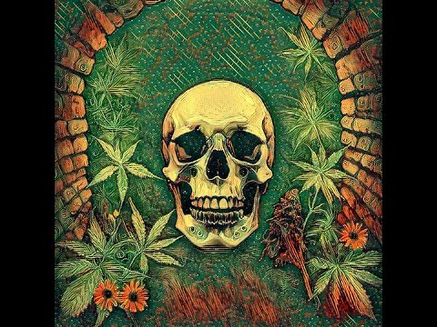 💀 ПІДПОД МоноСтрім X ☕️Сacao 🪐Mars (Zp, UA🇺🇦) vs першоапостолка ЛЕРА і Sonic - Live 🤙🤙🤙🤙