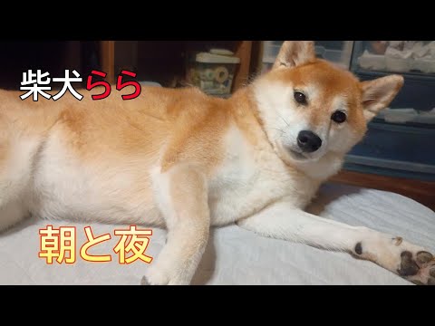 朝と夜の美しい表現とひとときの過ごし方 サムネイル