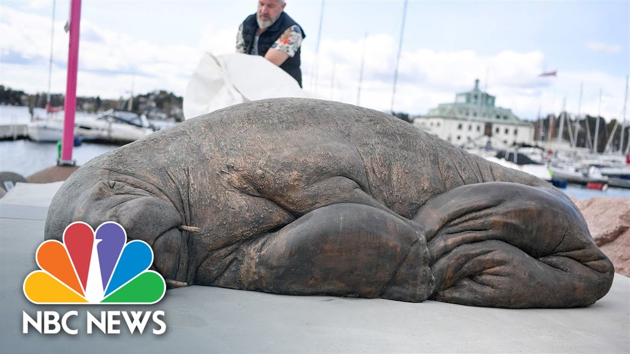 Sculpture of euthanized walrus Freya unveiled in Norway