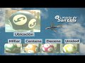 Quiniela La Previa de San Luis N° 899 29-05-2025