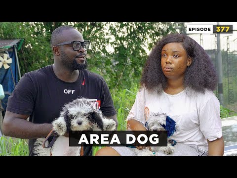 Area Dog - Episode 377 (Mark Angel Comedy)