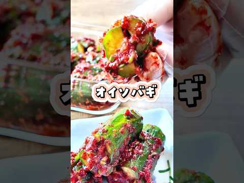 \レシピ本第二弾📕秋に発売🍂/#韓国料理#オイキムチ#キムチ