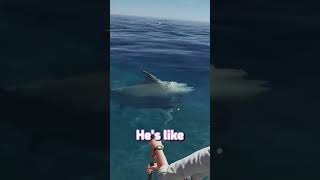 We Found a Shark Momo!?