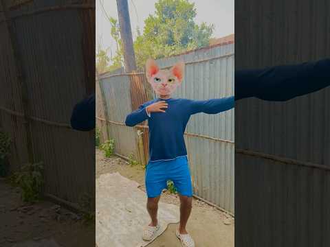 Garena free fire sent a dada cat dance 😂 my house for brother #freefireshortstory