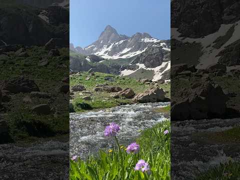 Hakkari Bala Yaylası | Beautiful Nature Views #hakkari #nature #relaxing  #mountains