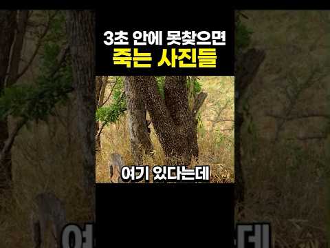 그리고 난 죽었다