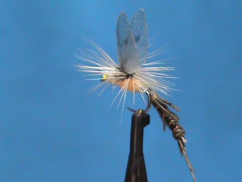 Fly Tying an Articulated Dry with Jim Misiura