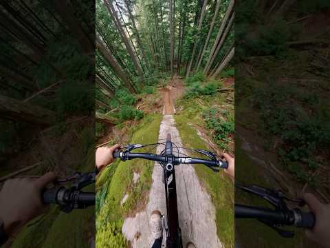 Would you ride this fast down something like this? #gopro #pov #mtb