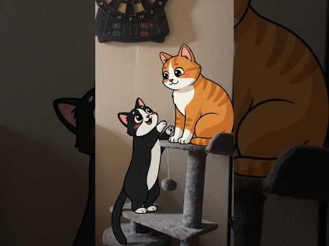 cute cats fighting 🐾 #catlovers #cutecat #cat #shorts