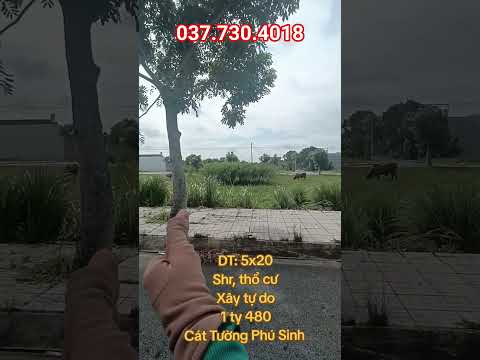 MAP ĐẤT VIỆT - mapdatviet.com Cát Tường Phú Sinh 5x20 #cattuongphusinh #batdongsan #vinhomes #shorts