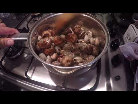 How to cook SNAILS with rice