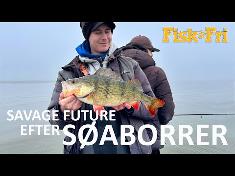 SØFISKERI EFTER ABORRER MED SAVAGE FUTURE [ENG SUBS]