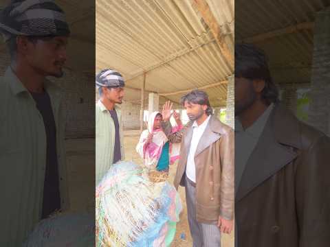 जय हो दिन को भूल जाओ 😂😂#isekai #dekho #pyar #karo #