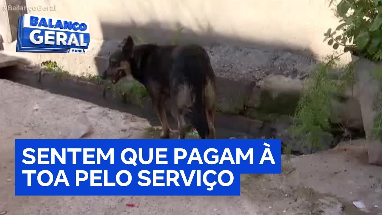 Esgoto a céu aberto compromete qualidade de vida de moradores da zona norte de São Paulo