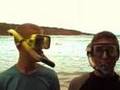 tomandshane