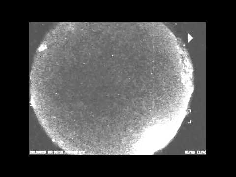 Large Fireball Seen Streaking Over Ohio | Video - UCVTomc35agH1SM6kCKzwW_g