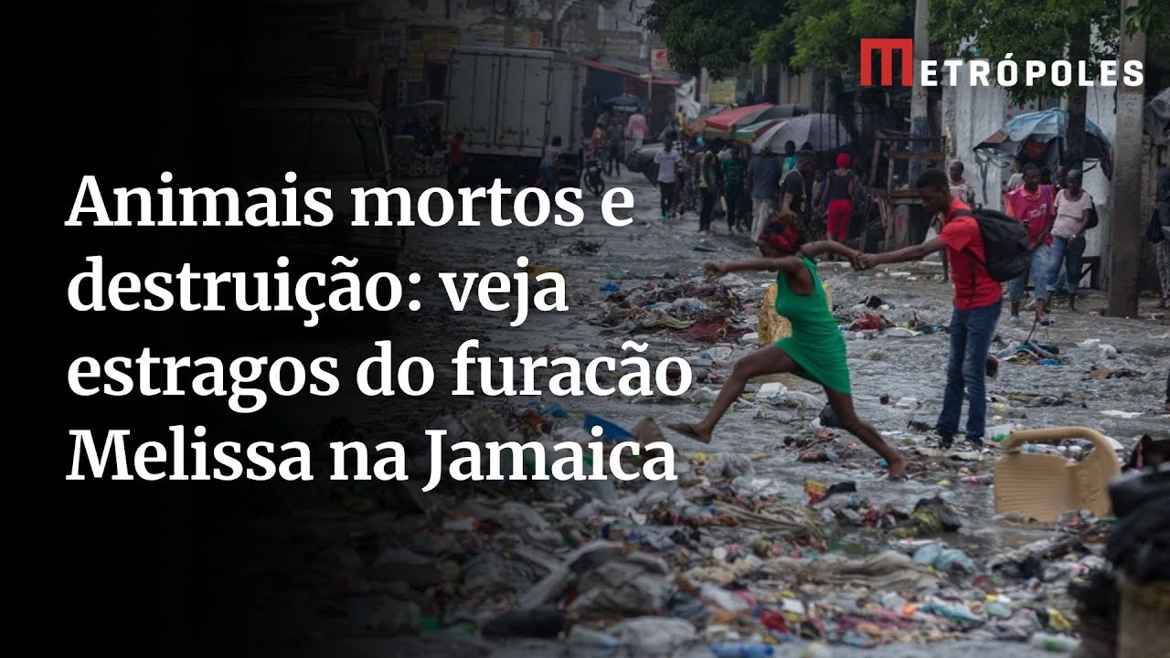 Furacão Melissa deixa cidade jamaicana alagada e com animais mortos