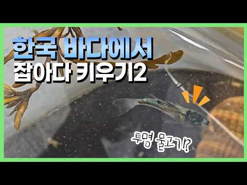 지구온난화의 결과일까요?!