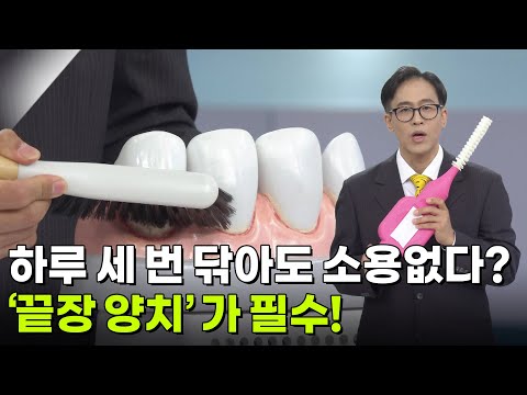 [의학 팩트체크] 하루 세 번 닦아도 소용없다? ‘끝장 양치’ 가 필수! [무엇이든 물어보세요] | KBS 261026 방송