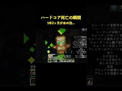 1年2ヶ月続いたハードコア...死亡の瞬間...【マイクラ】