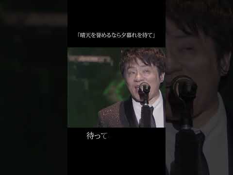 晴天を誉めるなら夕暮れを待て(ASKA featuring DAVID FOSTER PREMIUM CONCERT 2023)