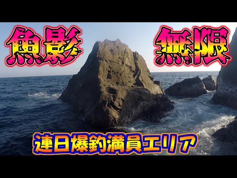 魚影最強の磯へ再び…どれどれ…爆釣でした👏