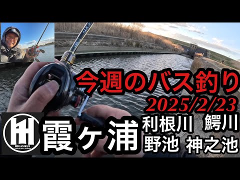 バス釣り今週の霞ヶ浦　利根川2025年2月23日