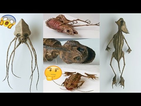 ¡INCREIBLE! LOS MUSEOS MÁS RAROS DEL MUNDO. actualizado 2018
