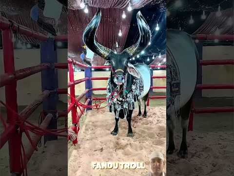 Cow Transportation To Devil ☠️ #shorts #cow #bull #ytshorts #animals #challenge #cowvideos #shocking